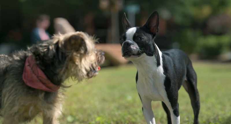 MAGGIE: Yeah. - Well, thank you