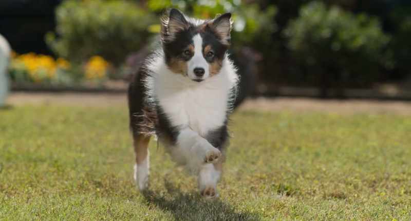 Maggie's part of the detection squad now