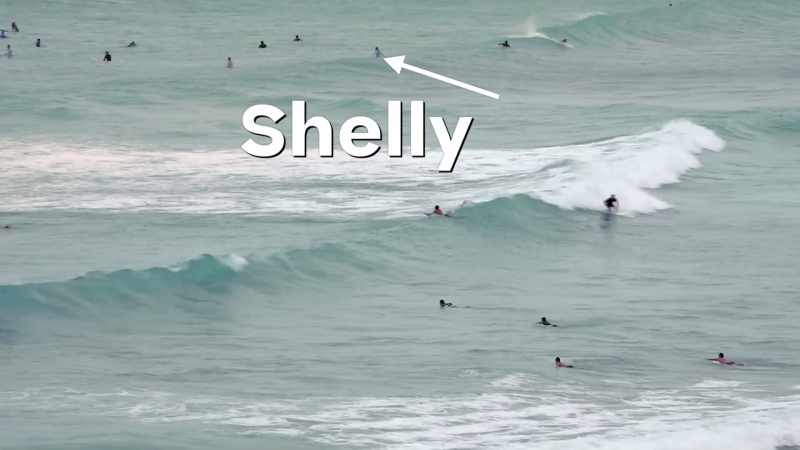 Mahalo, dude! Shelly sucked!
