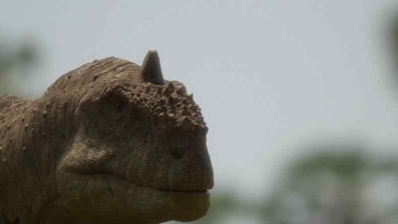 Majungasaurus, Madagascar's top hunter