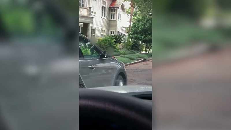 Make sure you keep an eye out for trees, too