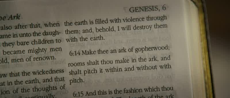 Make thee an ark of gopher wood