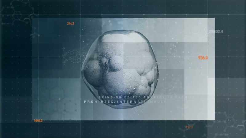 Making a CRISPR baby was prohibited, it was prohibited