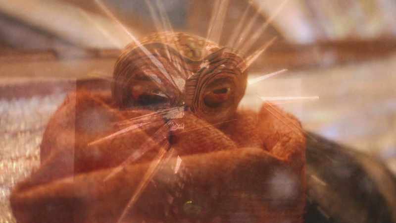 �� Making space in the manger Making time, taking part ♪
