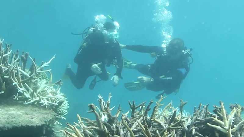 MALCOLM AND UNESCO SAY THE REEF