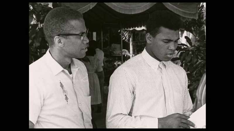 Malcolm says to Elijah Muhammad, 