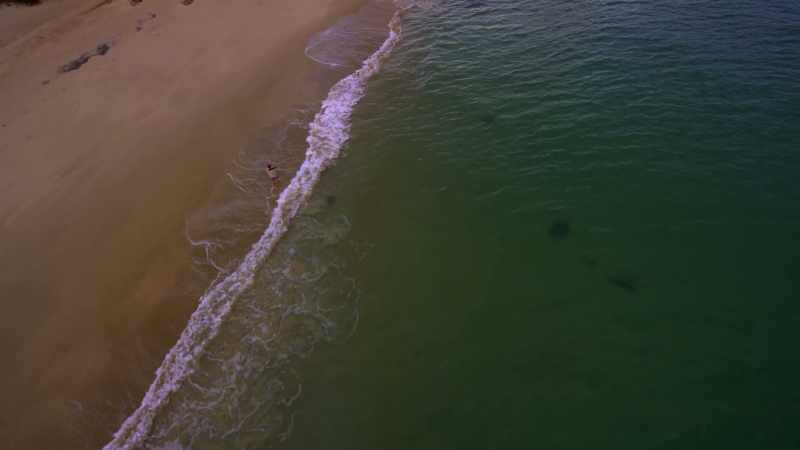 [man] Already biologists say some corals are dying