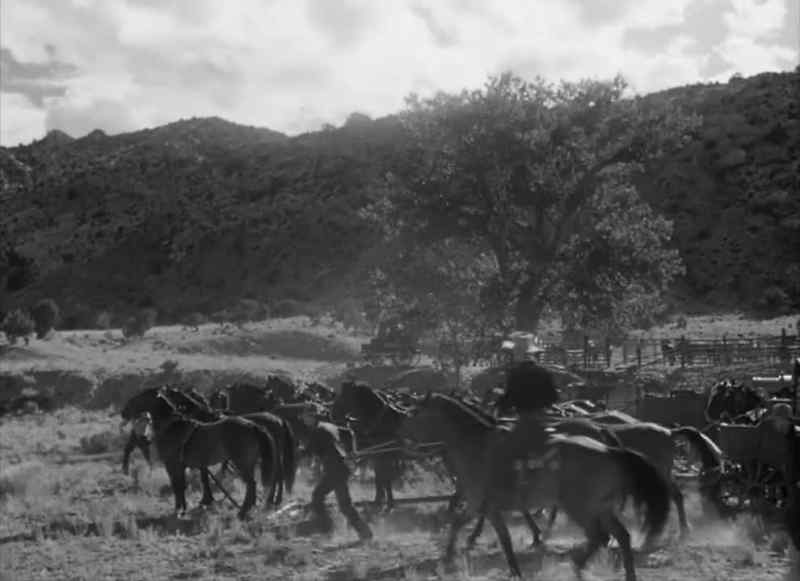 (Man) Get your reins in your hands. We're moving!