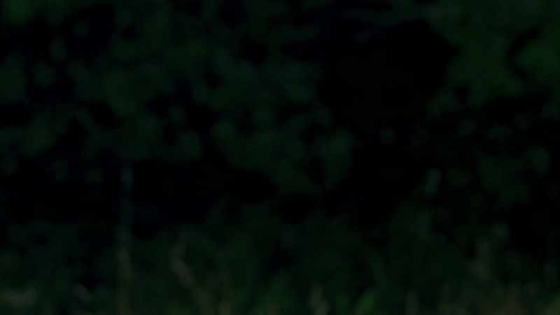 [Man] Go! Go! Keep on running!
