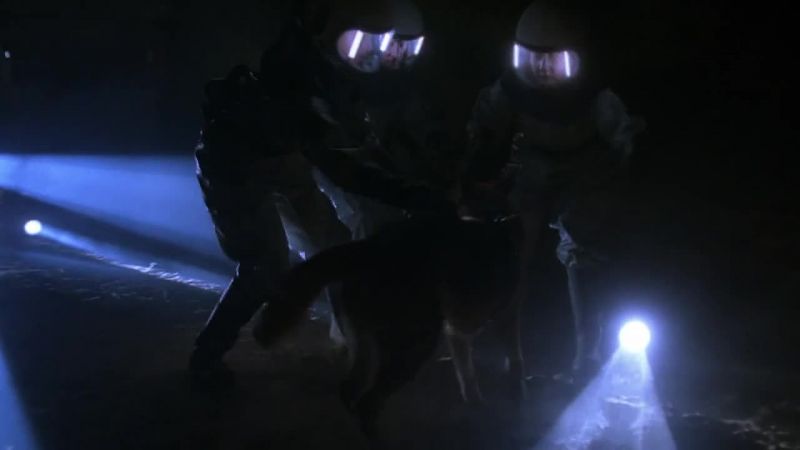 (man) Hold him!