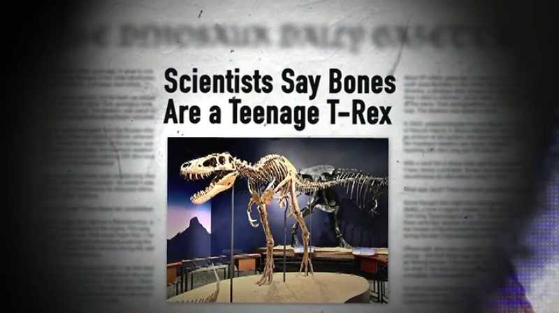 MAN, IT'S HARD TO ARGUE STUFF LIKE THAT