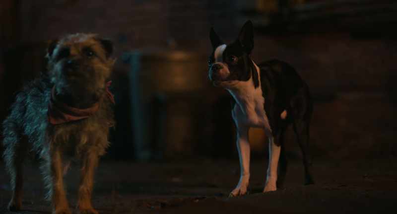 Man, look, always falling for that crazy little dog trick