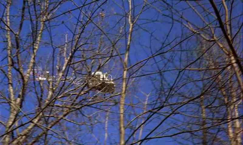 [ Man On Speaker ] Stop where you are. We have you spotted