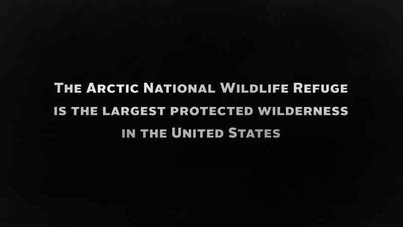 Man: THE ARCTIC REFUGE IS ROUGHLY THE SIZE