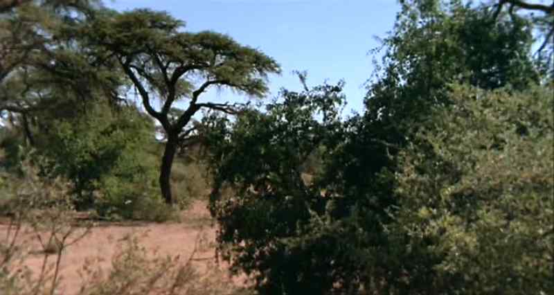 MAN: Turn right
