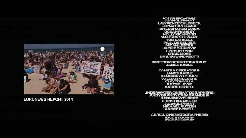 [man] Under the plan, baited drumlines would be set off local beaches