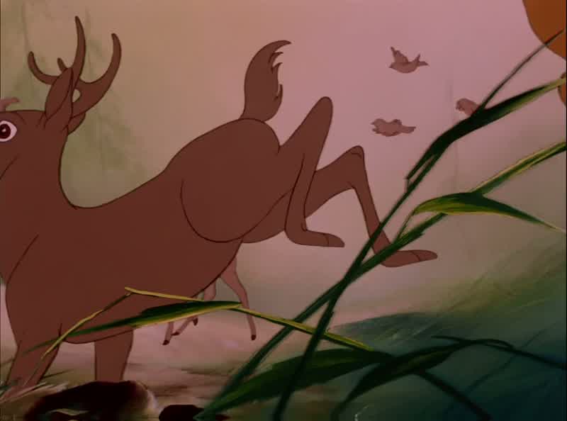Man was in the forest