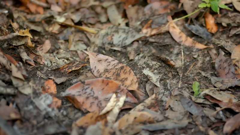 Many have disintegrated over time