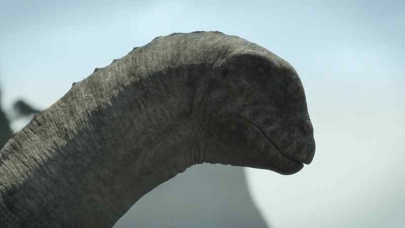 Many in the herd are likely to be his offspring