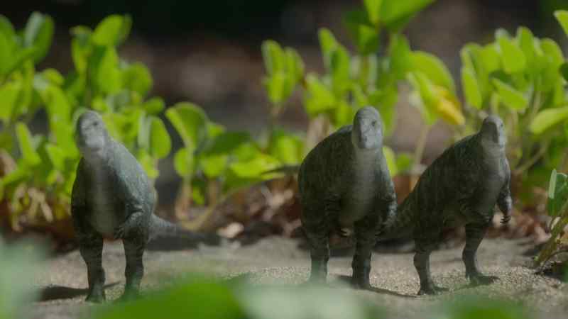 Many of the forest's permanent residents regularly come down here…