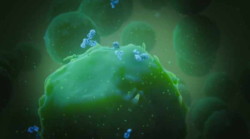 Many scientists are trying to come up