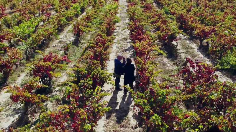 María will start her harvest early tomorrow morning