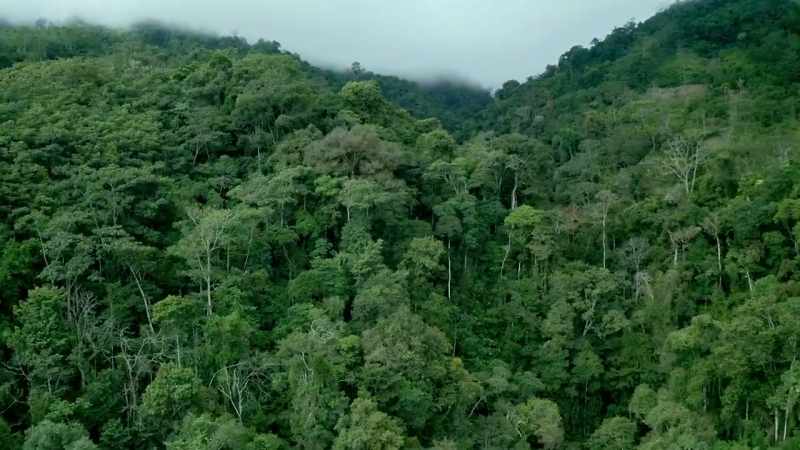 MARIANA: The Shining Path controls key smuggling routes