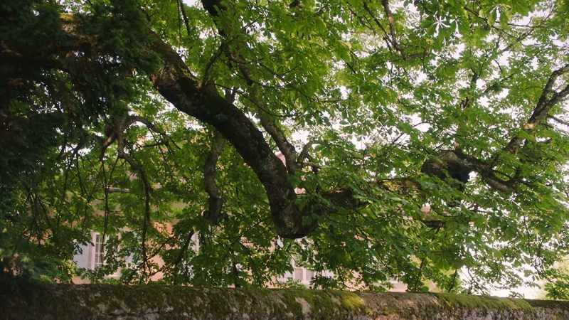 [Marilena] There was peace and there is quietness