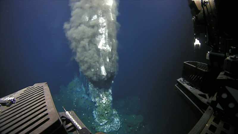 MARINE BIOLOGISTS INVESTIGATING IT MAKE A REMARKABLE DISCOVERY