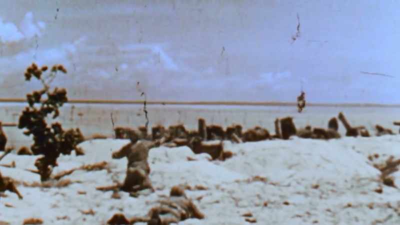 Marines use hand grenades and fire to blast out the enemy