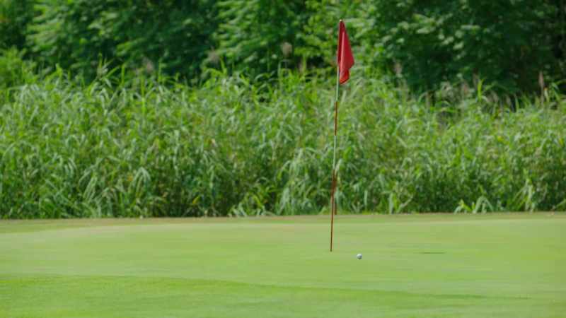 Mark: Yeah, if she can stay on this pace on the back nine