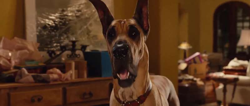 MARMADUKE Yeah yeah