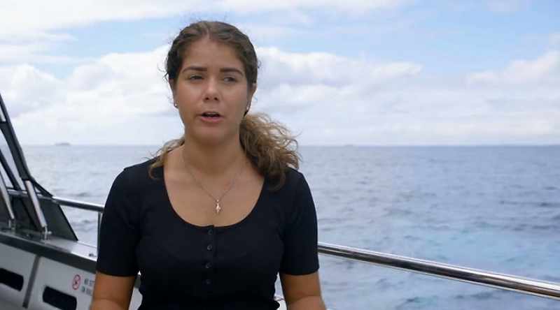 MÁRQUEZ: Juvenile great whites seem to like