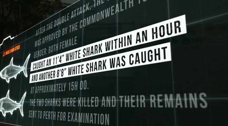 MÁRQUEZ: The sharks that attacked Sean Pollard