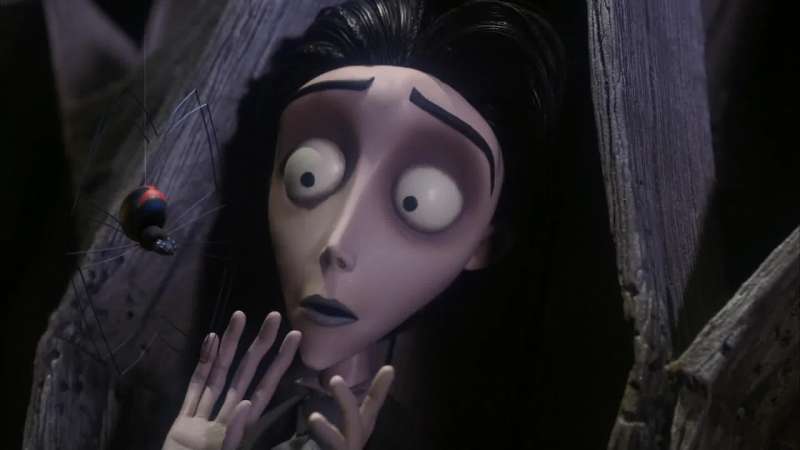 Married huh l'm a widow