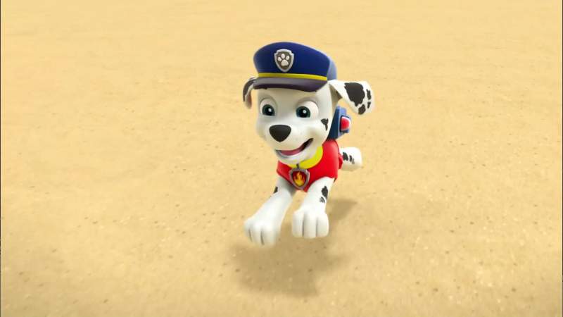 Marshall is on the case