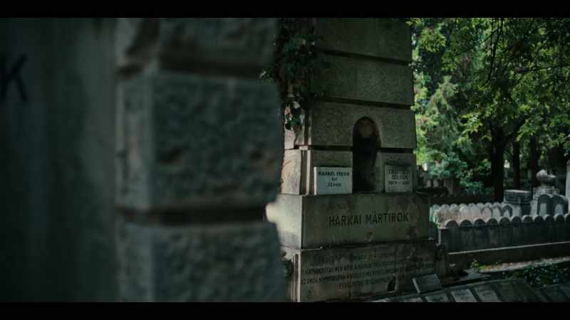 MARTYRS OF WAR