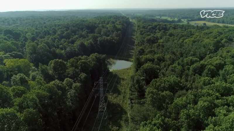 Mary Gray Bird Sanctuary