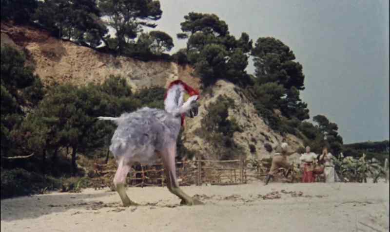 Mary, run! Run!
