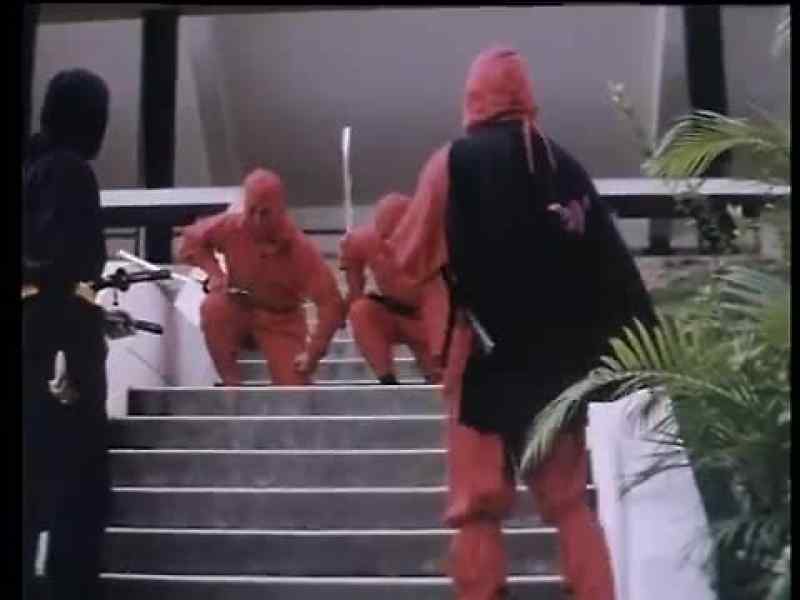 Master, the Golden Ninja Warrior is gone