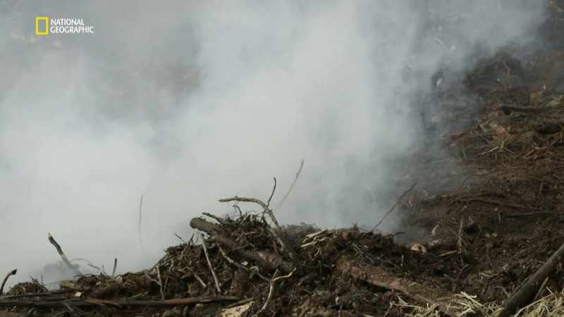 Matheson plans for Major Syme's B Company