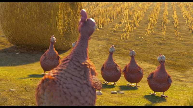 Mathilda is right. Looking for that chicken