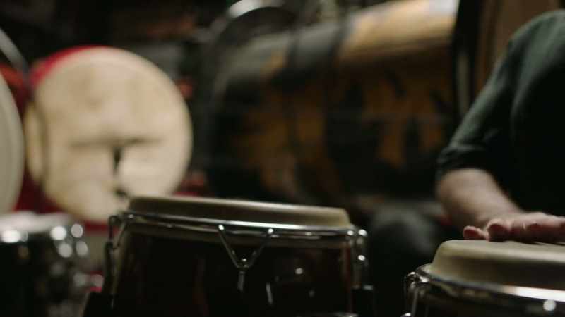 [Matt Sorum] Every human and the limbs