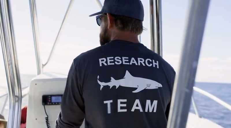 MATT: We have here a, a bite template and our goal is to