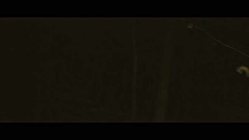 MATTHEW (hysterical): Nothing, man