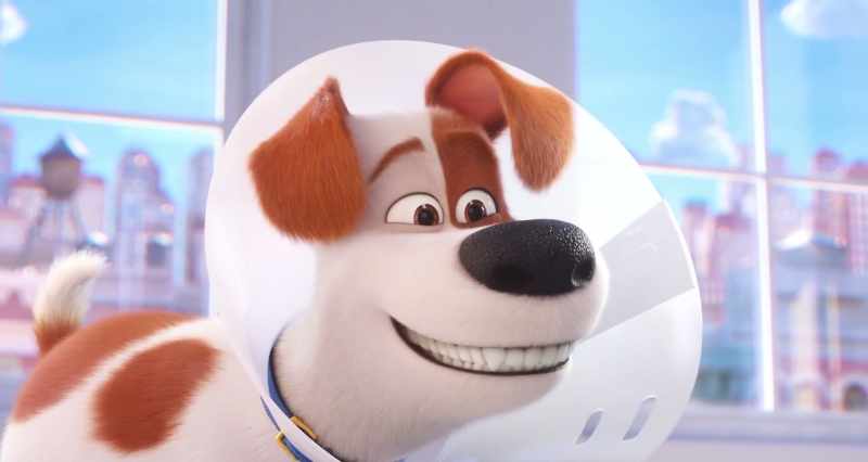 Max, you go, have a great time