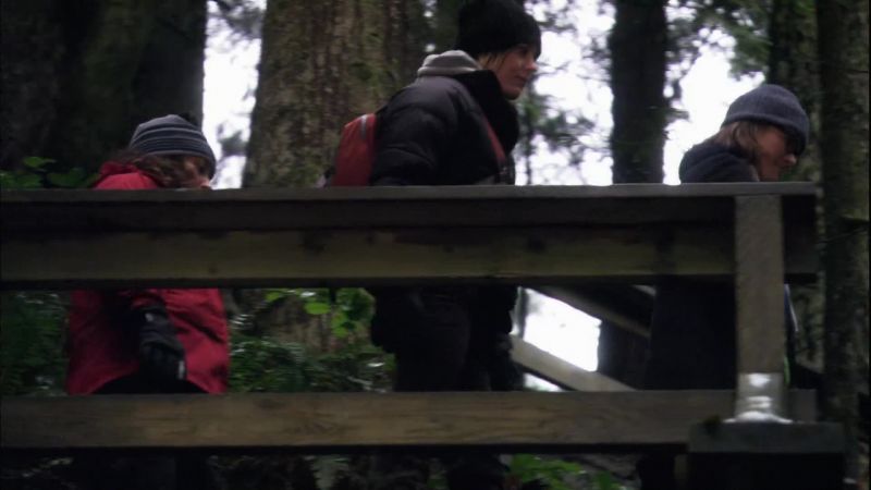 >[MAX]: I can hear the waterfall, so we must be getting close