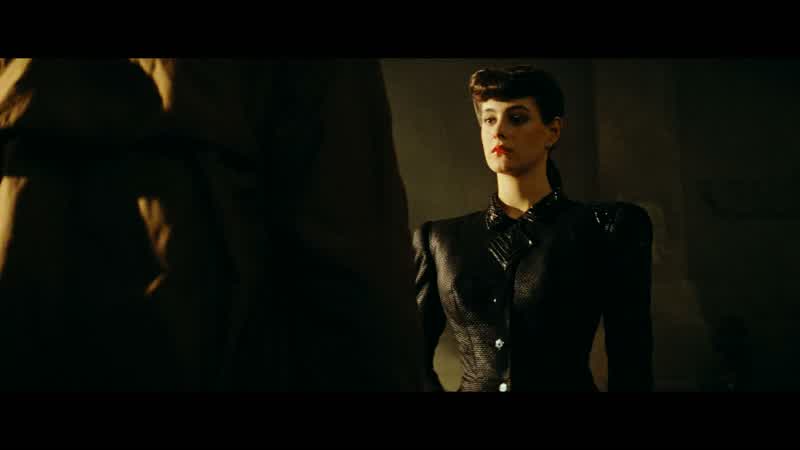 May I ask you a personal questionSureHave you ever retired a human by mistakeBut in your position that is a risk Tyrell Is this to be an empathy test