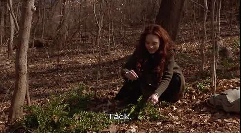 May I have permission to take this leaf