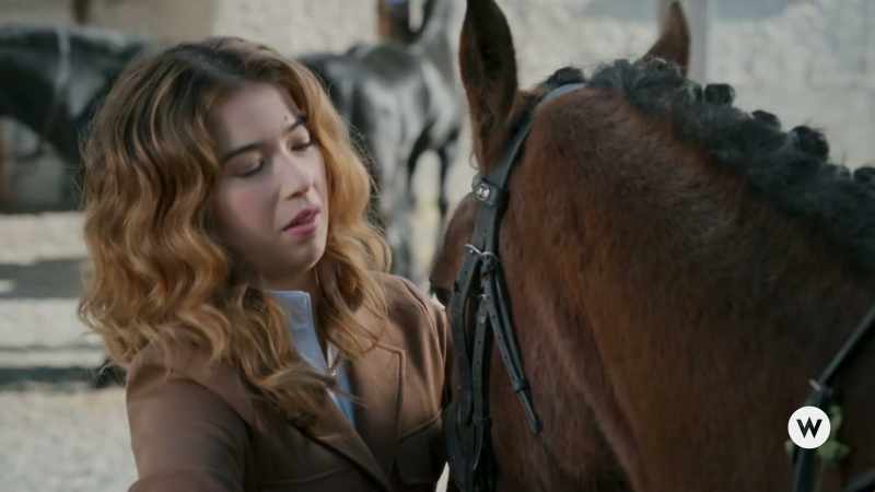 Maybe we could walk around the stables